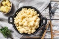 Mac and cheese, american style macaroni pasta in cheesy sauce. White wooden background. Top view Royalty Free Stock Photo