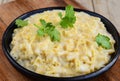 Mac and cheese pasta Royalty Free Stock Photo