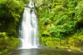 Mac Lean Falls in the Catlins Royalty Free Stock Photo