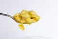 Mac n` Cheese Royalty Free Stock Photo