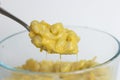 Mac n` Cheese Royalty Free Stock Photo