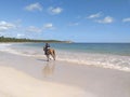 Young man riding a horse on the shore of the Caribbean Sea with calm waters, tropical