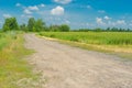 Macadam road on the edge of wheat field in rural area, Ukraine Royalty Free Stock Photo