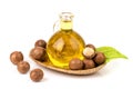 Macadamia fruits and oil isolated white background