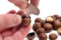 Macadamia. Hands open macadamia nuts with a special key, a tool on a white background Royalty Free Stock Photo