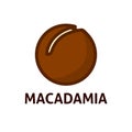 Macadamia healthy nut icon.