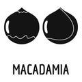 Macadamia icon, simple style