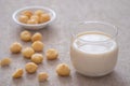 Macadamia milk in glass and macadamia nuts on table