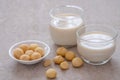 Macadamia milk in glass and macadamia nuts on table