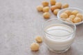 Macadamia milk in glass and macadamia nuts on table