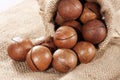 Macadamia nut Royalty Free Stock Photo