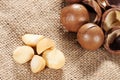 Macadamia nut Royalty Free Stock Photo