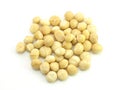 Macadamia Nut Royalty Free Stock Photo