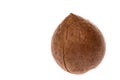 Macadamia Nut Royalty Free Stock Photo