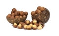 Macadamia nut in coconut shell Royalty Free Stock Photo