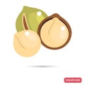 Macadamia Nut color flat icon