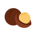 Macadamia nut icon. Whole and half macadamia. Vector illustration