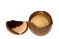 Macadamia Nut Macro Royalty Free Stock Photo