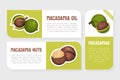 Macadamia Nut Product Label with Kernel and Shell Vector Template Royalty Free Stock Photo