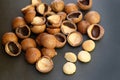 Macadamia nut shell on black background. Royalty Free Stock Photo