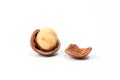 Macadamia nut and shell Royalty Free Stock Photo