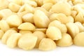 Macadamia nuts Royalty Free Stock Photo