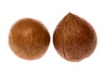 Macadamia Nuts