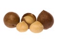 Macadamia Nuts Royalty Free Stock Photo