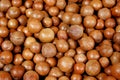 Macadamia nuts