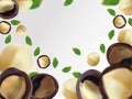 Macadamia nuts background. Flying macadamia with green leaf on transparent background. 3D realistic nuts. Macadamia Royalty Free Stock Photo