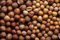 Macadamia nuts background. Generate ai