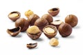 Macadamia nuts with broken nut and nutshell isolated on white background Royalty Free Stock Photo