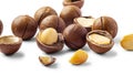 Macadamia nuts with broken nut shell isolated on white background Royalty Free Stock Photo