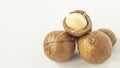 macadamia nuts brown bark, white flesh