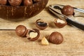 Macadamia nuts Royalty Free Stock Photo