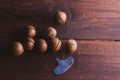 Macadamia nuts on a brown wooden table. Special metal key for opening macadamia nuts