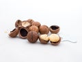 Macadamia nuts fruits with shell on white background