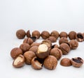 macadamia nuts fruits with shell on white backgrounds
