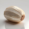 Macadamia Nuts Isolated Royalty Free Stock Photo