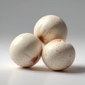Macadamia Nuts Isolated Royalty Free Stock Photo
