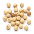 Macadamia Nuts Royalty Free Stock Photo