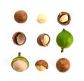 Macadamia nuts isolated on white background. Royalty Free Stock Photo