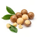 Macadamia Nuts with Leaves Rendering Royalty Free Stock Photo