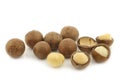 Macadamia nuts (Macadamia tetraphylla) Royalty Free Stock Photo