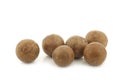 Macadamia nuts (Macadamia tetraphylla) Royalty Free Stock Photo