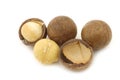 Macadamia nuts (Macadamia tetraphylla) Royalty Free Stock Photo