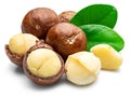 Macadamia nuts with peeled macadamia and leaves isolated on a white background