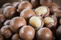 Macadamia nuts with shells