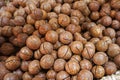 Macadamia nuts texture Background with dried Royalty Free Stock Photo