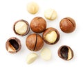 Macadamia nuts unpeeled and peeled on white background, isolated. The view of the top